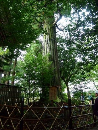 パワースポット　須佐神社の御朱印２種　（島根県出雲市）