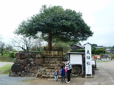 出雲國神仏霊場第１４番　八重垣神社　（島根県松江市）