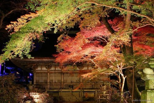 紅葉 ライトアップの室生寺 No.7　（ 灌頂堂 ）　[ 奈良・大和路の名刹 探訪！ 女人高野　室生寺 （ Murouji-temple ） No.58 ]