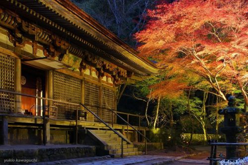 紅葉 ライトアップの室生寺 No.8　（ 灌頂堂 ）　[ 奈良・大和路の名刹 探訪！ 女人高野　室生寺 （ Murouji-temple ） No.59 ]