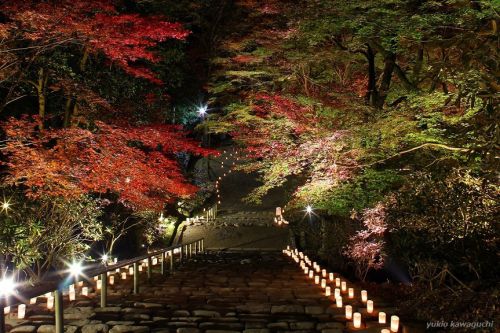 紅葉 ライトアップの室生寺 No.12　（ 鎧坂 ）　[ 奈良・大和路の名刹 探訪！ 女人高野　室生寺 （ Murouji-temple ） No.63 ]