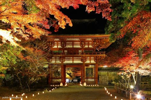 紅葉 ライトアップの室生寺 No.14　（ 仁王門 ）　[ 奈良・大和路の名刹 探訪！ 女人高野　室生寺 （ Murouji-temple ） No.65 ]