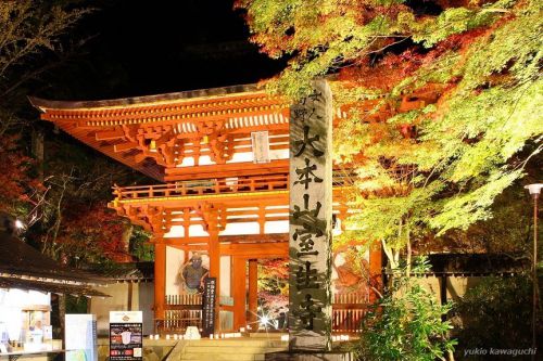 紅葉 ライトアップの室生寺 No.15　（ 仁王門、石柱 ）　[ 奈良・大和路の名刹 探訪！ 女人高野　室生寺 （ Murouji-temple ） No.66 ]