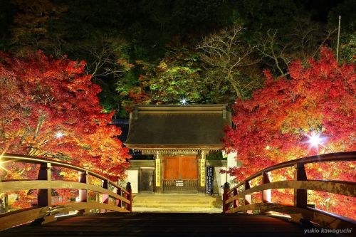 紅葉 ライトアップの室生寺 No.16　（ 表門、太鼓橋 ）　[ 奈良・大和路の名刹 探訪！ 女人高野　室生寺 （ Murouji-temple ） No.67 ]