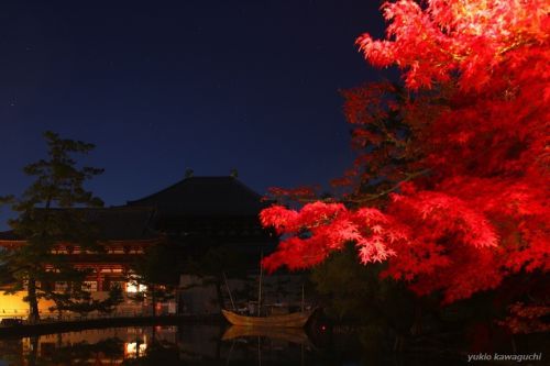 夜明け前の東大寺 No.1　[ 奈良・大和路の名刹 探訪！ 東大寺 （ Tōdaiji-temple ） No.1 ]