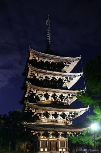 興福寺の夜景 （ ライトアップ ）  No.4　[ 奈良・大和路の名刹 探訪！ 興福寺 （ kohfukuji-temple ） No.4 ]