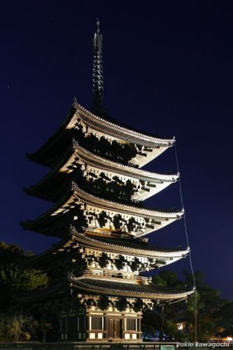 興福寺の夜景 （ ライトアップ ）  No.5　[ 奈良・大和路の名刹 探訪！ 興福寺 （ kohfukuji-temple ） No.5 ]