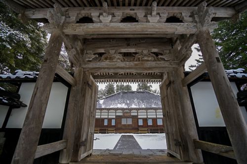 【神社仏閣】冬にこそ、心にしみる神社仏閣巡り～国分寺～