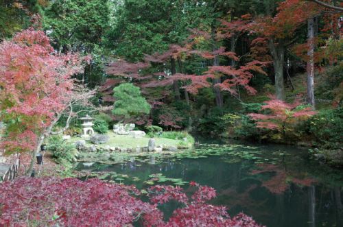 金戒光明寺～紅葉の美しい池泉回遊式庭園～