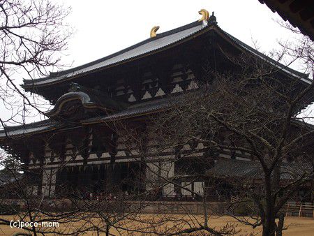 東大寺 ４　　垂涎の「和の心　仏像コレクション」 （2017年1月22日　冬の京都・奈良）  