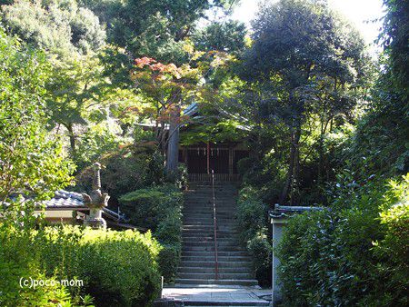 来迎院荒神堂の山積みの布袋様の謎/京都の風習