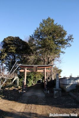 久伊豆神社（蓮田市駒崎）