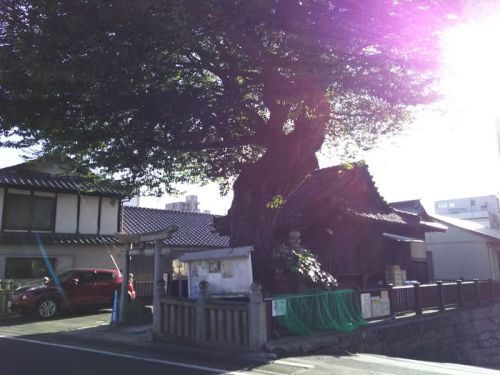 榎本神社（大森大明神） -岡山市北区弓之町-