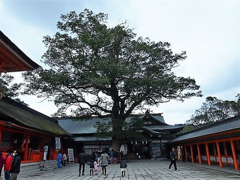 八幡総本宮　宇佐神宮の下宮本殿と呉橋　（大分県宇佐市）