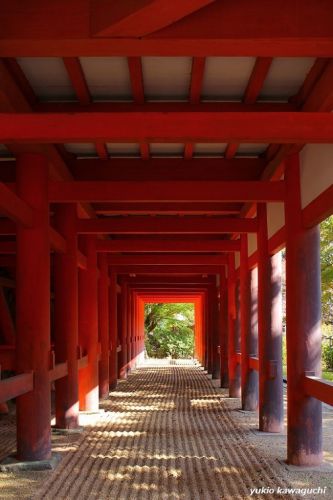 紅葉の談山神社　　[ 奈良・大和路の古社 探訪！ 多武峰・談山神社　≪ Tanzan-Jinja （ Tanzan　Shrine ）≫　No.7  ]