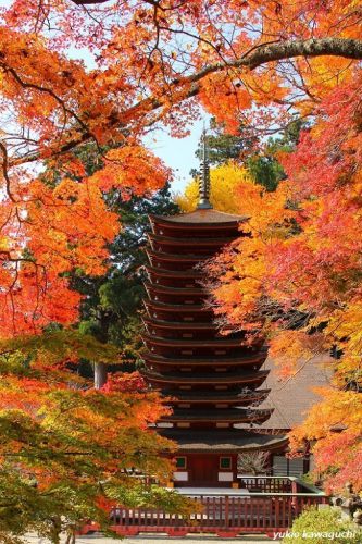 紅葉の談山神社　　[ 奈良・大和路の古社 探訪！ 多武峰・談山神社　≪ Tanzan-Jinja （ Tanzan　Shrine ）≫　No.9  ]