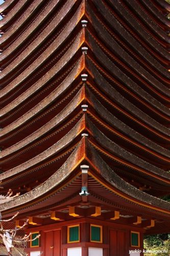 紅葉の談山神社　　[ 奈良・大和路の古社 探訪！ 多武峰・談山神社　≪ Tanzan-Jinja （ Tanzan　Shrine ）≫　No.10  ]