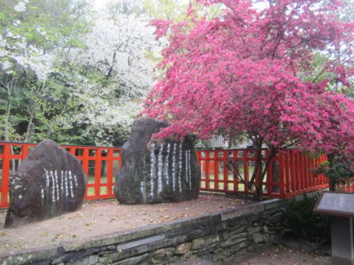 玉津島神社の春・衣通姫の歌