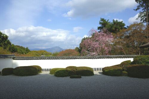 正伝寺～桜と比叡山の美しい庭～