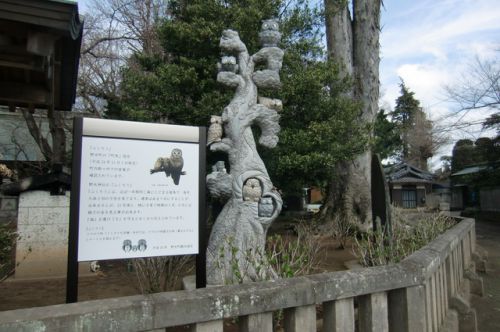 2017/4/2(日) 野木神社 栃木県