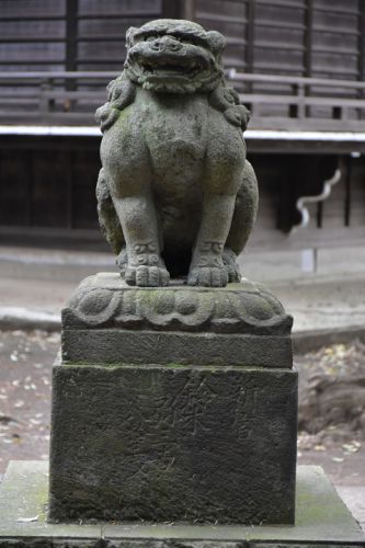 和泉熊野神社の狛犬達