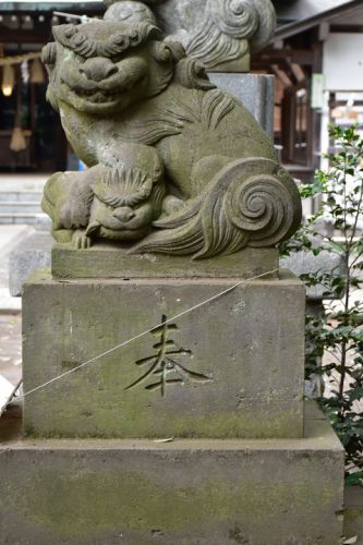 下高井戸浜田山八幡神社の狛犬達