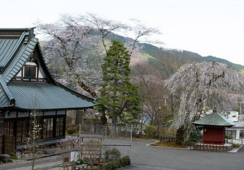 鉢石山 観音寺(日光市)