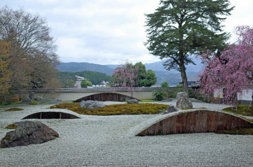 実相院～桜の美しい二つの庭～