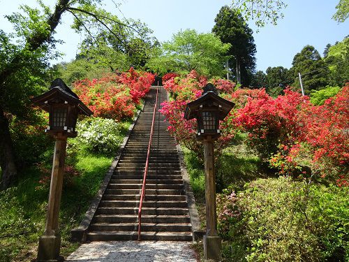 青梅市のつつじの名所の一つ、柚木町の出世階段のある愛宕神社を訪ねる！　2017年4月30日