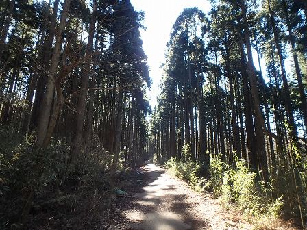 桃源台から九頭龍神社へ徒歩での行き方