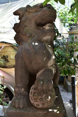 三崎稲荷神社の狛犬達
