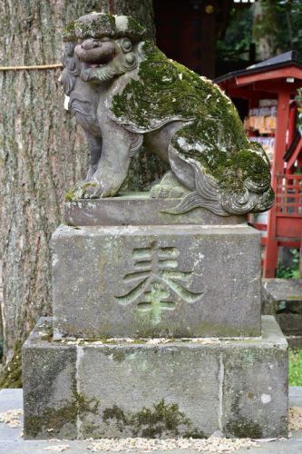 穴澤天神社の狛犬達