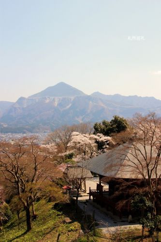 春の音楽寺と武甲山