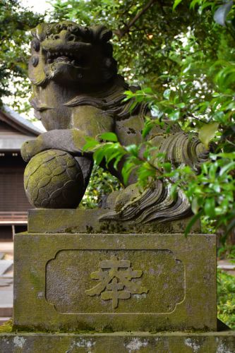 中野氷川神社の狛犬達