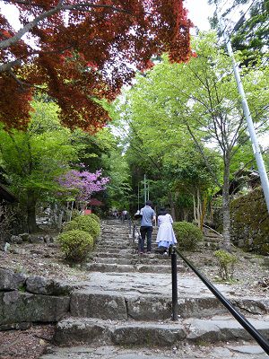 ひめちゃご7５　英彦山神宮　奉幣殿