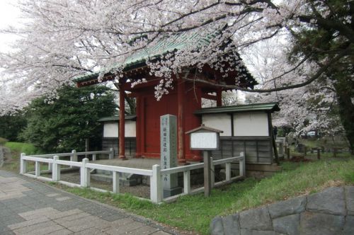 2017/4/8(土) 新田壮遺跡 長楽寺 群馬県