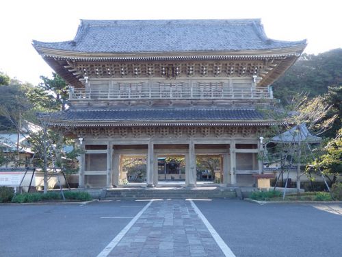 鎌倉・光明寺のサツキと富士山（5月下旬）