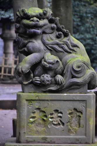 渋谷氷川神社の狛犬達