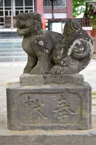 青渭神社（稲城）の狛犬達