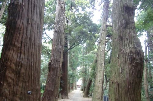 2017/4/22(土) 日吉神社（ひよしじんじゃ） 千葉県