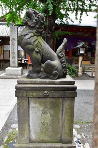 日枝神社日本橋摂社の狛犬達
