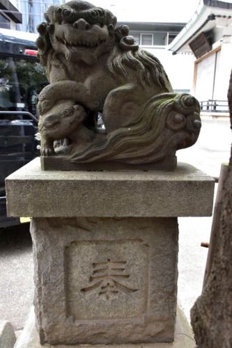 椙森神社の狛犬達