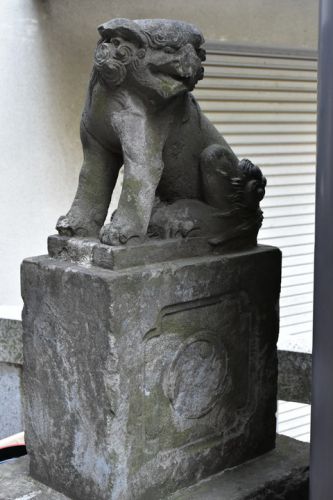 秋葉神社（表参道）の狛犬達