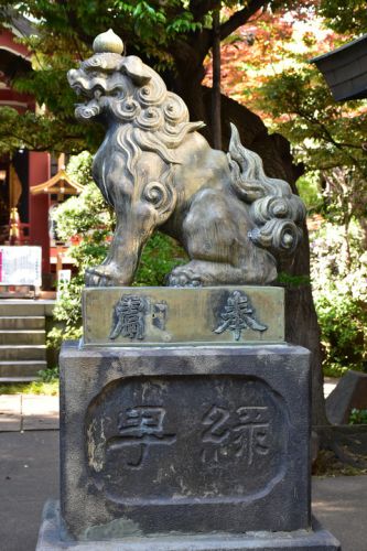 青山熊野神社の狛犬達