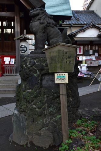 三島神社の狛犬達
