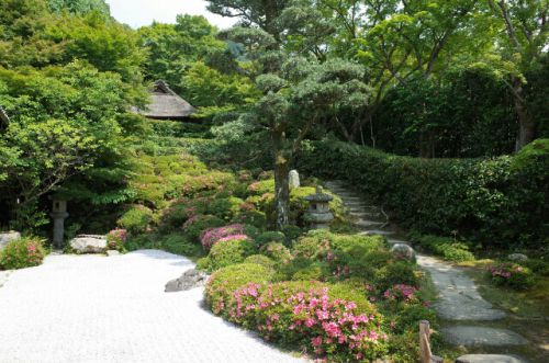 金福寺～サツキの刈込の美しい庭園～