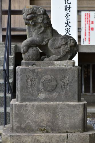 上田端八幡神社の狛犬達