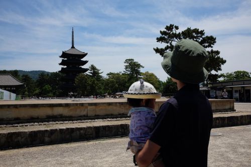 【世界遺産】仏像界のアイドル「阿修羅像」に会いに奈良県の興福寺へ行ってきた！