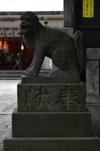 駒込天祖神社の狛犬達