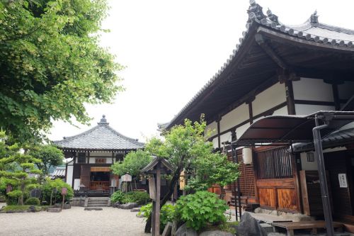 京都の寺院より圧倒的に歴史がある「飛鳥寺」フォトウォークに行ってきた！